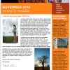 AFYA Newsletter