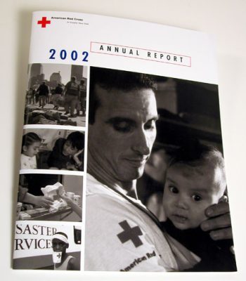 2002 Annual Report