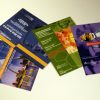 BIO Save The Date Postcards