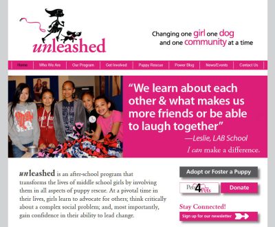 Unleashed Website