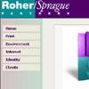 R/S Partners 2000